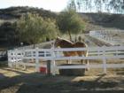 Wine Country Scene