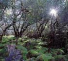 Anderson Springs...a magical little place in Lake County