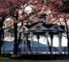 Gazebo in the park
