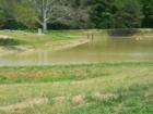 Lake @ Meridian Park