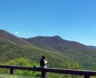 BLUE RIDGE PARKWAY The Reader. The Mountains. The Experience! Near Asheville , North Carolina. Spring!