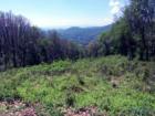 MEADOWLANDS off the Blue Ridge Parkway. Not far from Asheville, N.C.