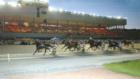 Flamborough Downs