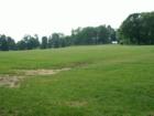 Meadow at Long's Park.  Photo by Brian Schulman