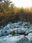 Hawk Mountain Wildlife Area