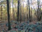 Hawk Mountain Wildlife Area