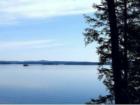 View from The Timbers