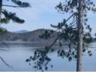 Another View From The Timbers