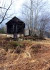 OLD  TIMER near Asheville, N.C.