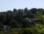 Hills of Belmont