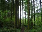 hiking at Skamania Lodge