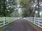 Spring LAke Driveway