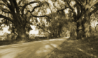 Hickory Hill Road
