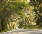 Hickory Hill Road
