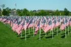 800 flag display for Memorial Day 2007 in Merrill Park