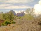 Spring in Uptown Sedona.