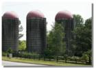 Ths Crabapple Silos Landmark!