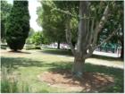 Another View of Roswell Square Park