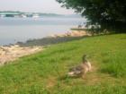 Nearby Percy Priest lake features fishing and boating for La Vergne residents.
