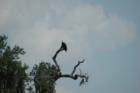 Ar118049027367291_l