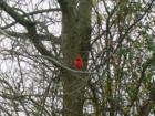 Birds and other wildlife are plentiful in this area.