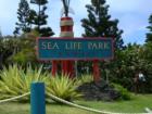 Sea Life Park in Makapuu