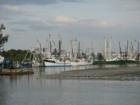 The view from Dixie Fish restaurant, Lee County, FL