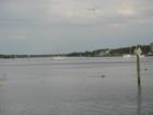 The back bay of Fort Myers Beach or Estero Bay, Lee County, FL