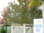 Fort Myers Beach, tennis courts on Lennel rd, Lee County, Fl