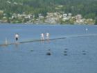 Fun at the lake
