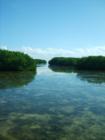 Beauty in our backyard.  Weedon Island.