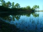 You would never think this beautiful little pond was right next to Gandy Boulevard.  