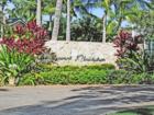 Entrance to beautiful Coconut Plantation.