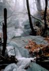 Snake Falls-This waterfall is located in Burlington just outside of Hamilton’s boundary, however the stream above the falls is in Hamilton. This is a tributary of the Grindstone Creek. 