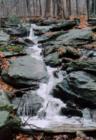 Lower Snake Falls-