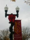 Christmas in Murfreesboro.