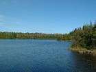 Grab your fishing pole!