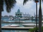 Boats at Miami Beach Marina