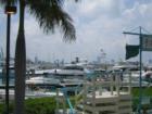 More boats at Miami Beach Marina
