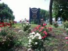 Columbia Rotary Park.  Photo by Brian Schulman
