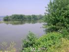 Susquehanna River at Washington Boro.  Photo by Brian Schulman