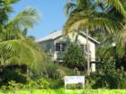 FMB home hidden behind palms, Lee County, FL