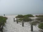 Fog along FMB, Lee County, FL