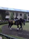 Keeneland