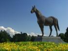 Man o' War Memorial at the Kentucky Horse Park near Georgetown. Home to the 2010 Alltech FEI World Equestrian Games.