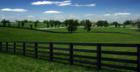 Horse Capital of the World