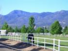 Camp Verde has some amazing horse properties.