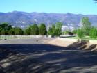 Camp Verde Horse Country.