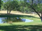 A tranquil spot to spend an afternoon. Camp Verde, Arizona's greenbelt area along the Verde River affords a lush contrast to the surrounding high desert terrain.