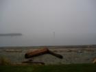 A foggy morning at South Beach